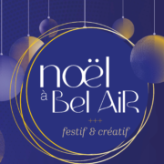 Noel a bel air, l'évènement de noel organisé par le collectif métiers d'art sur loire pour un moment festif et créatif, à saint aignan de grand lieu, près de nantes